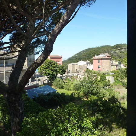 Hotel Silvia Framura - Cinque Terre Eksteriør bilde