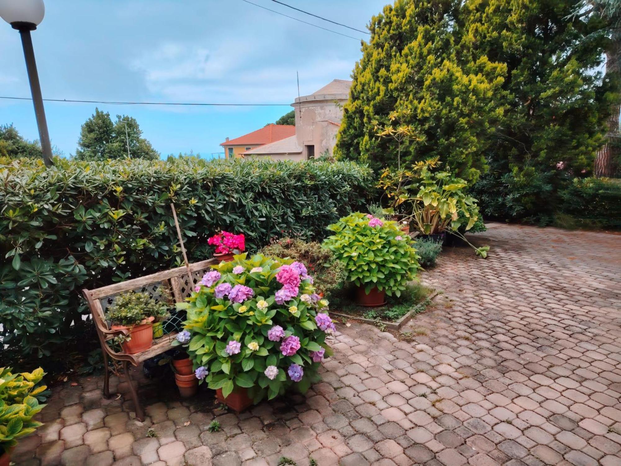 Hotel Silvia Framura - Cinque Terre Eksteriør bilde