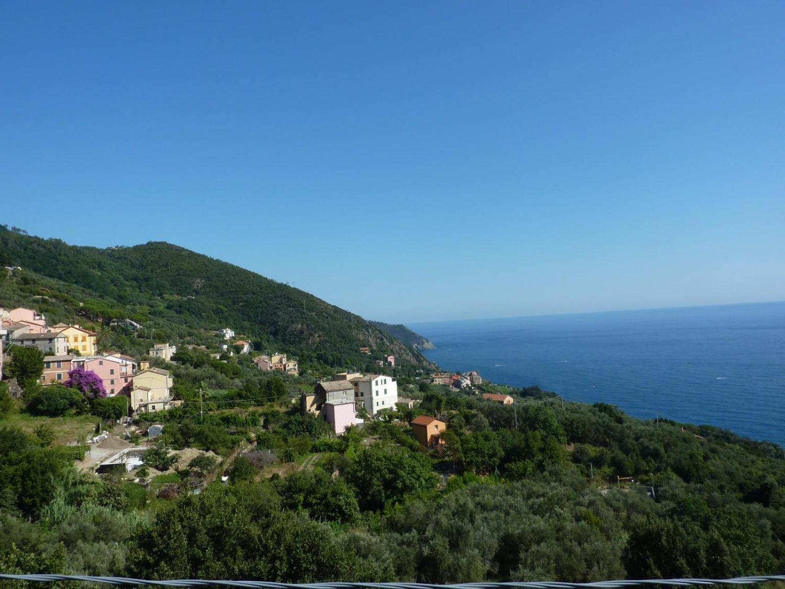 Hotel Silvia Framura - Cinque Terre Eksteriør bilde