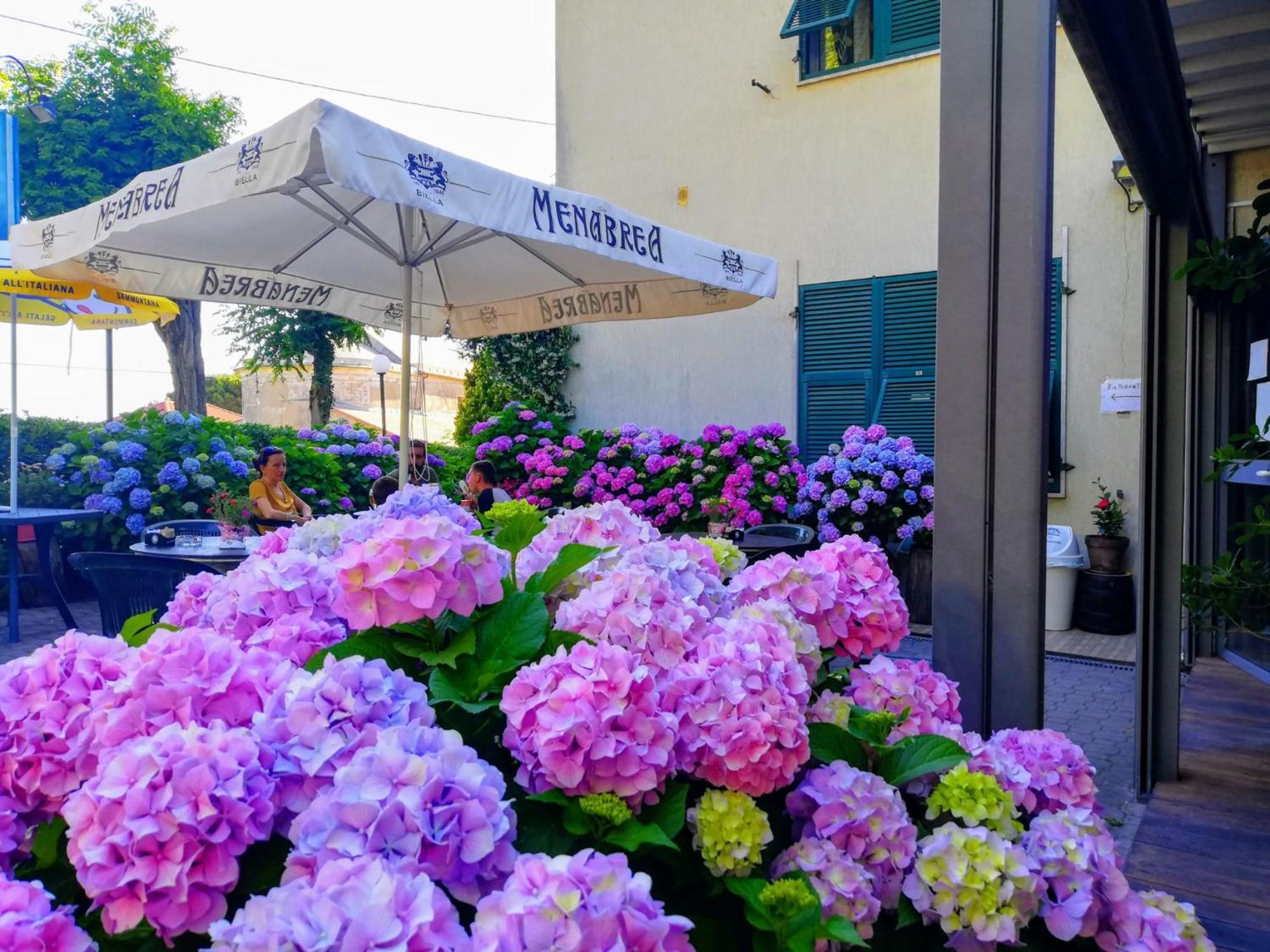Hotel Silvia Framura - Cinque Terre Eksteriør bilde