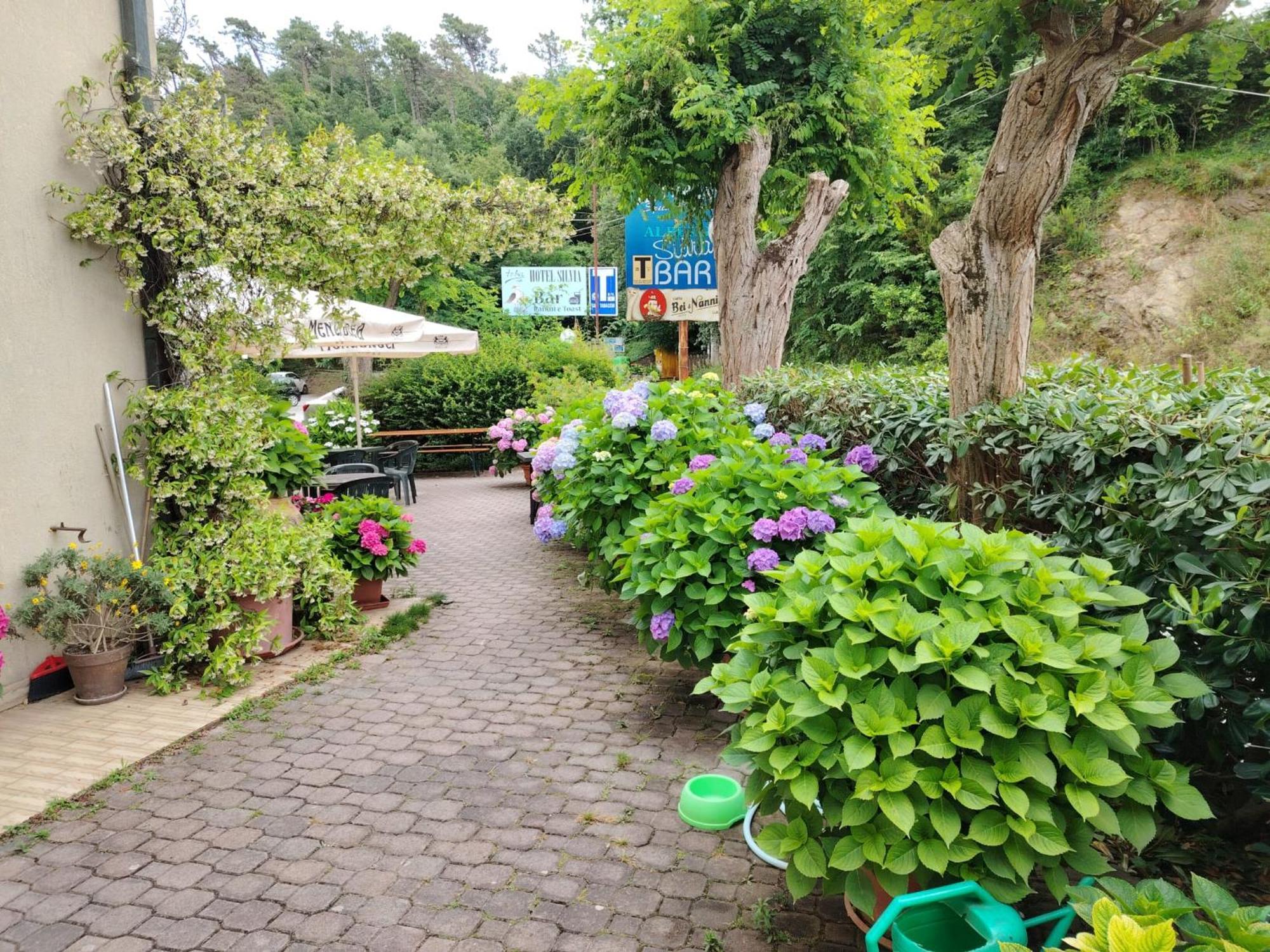 Hotel Silvia Framura - Cinque Terre Eksteriør bilde