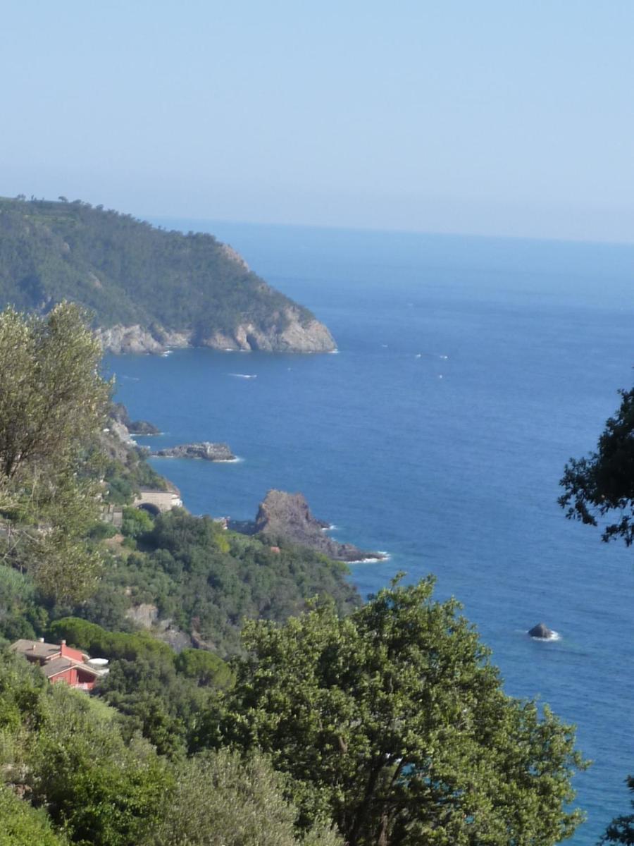 Hotel Silvia Framura - Cinque Terre Eksteriør bilde