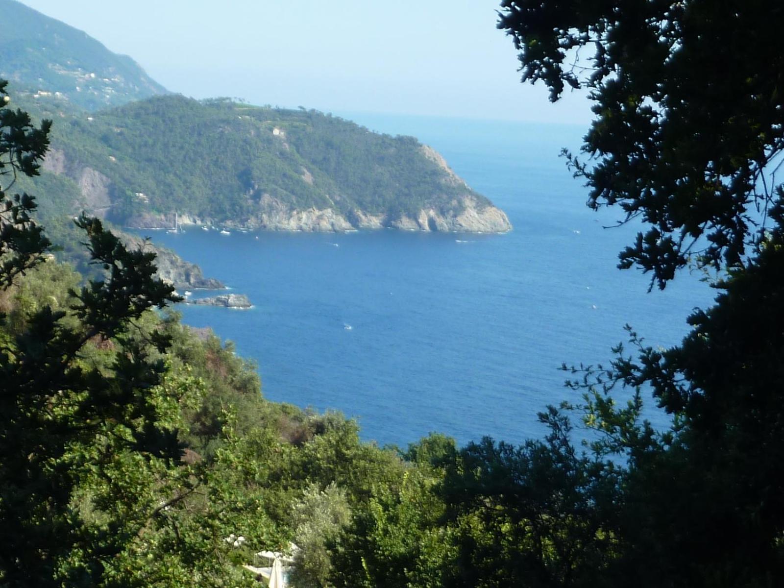 Hotel Silvia Framura - Cinque Terre Eksteriør bilde