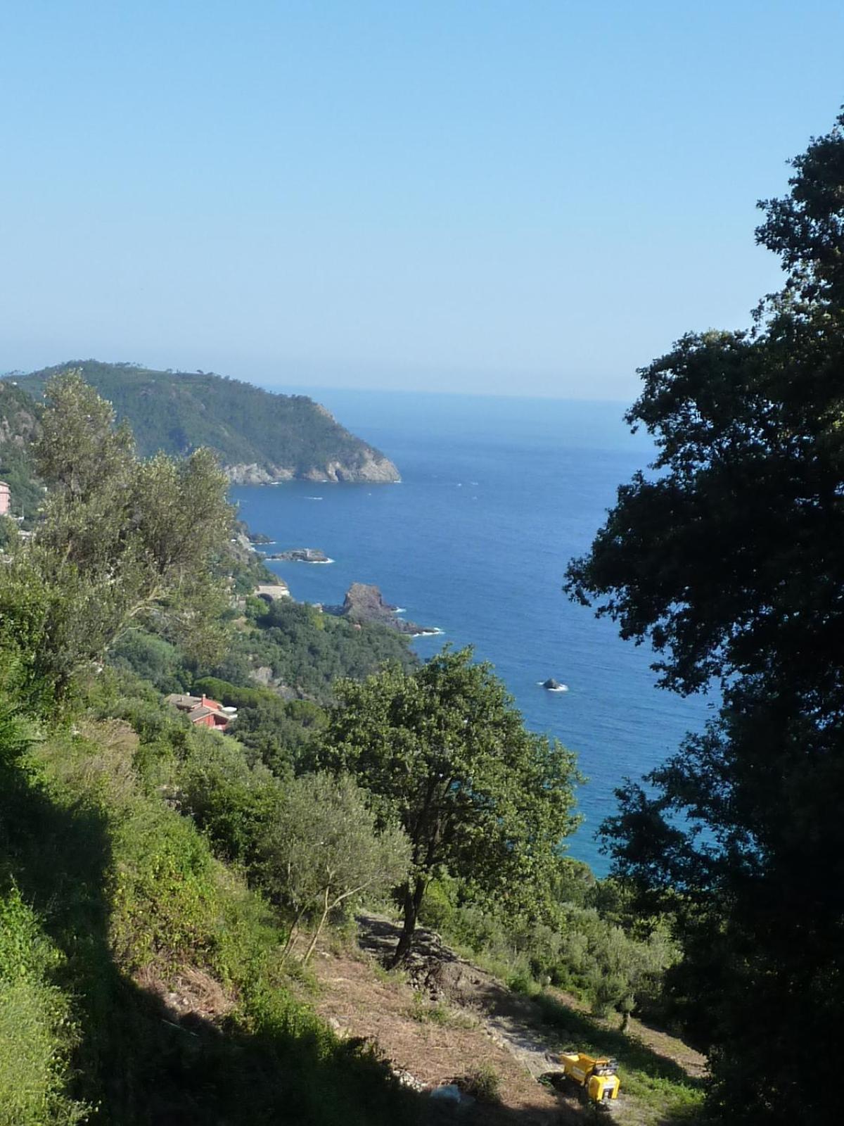Hotel Silvia Framura - Cinque Terre Eksteriør bilde