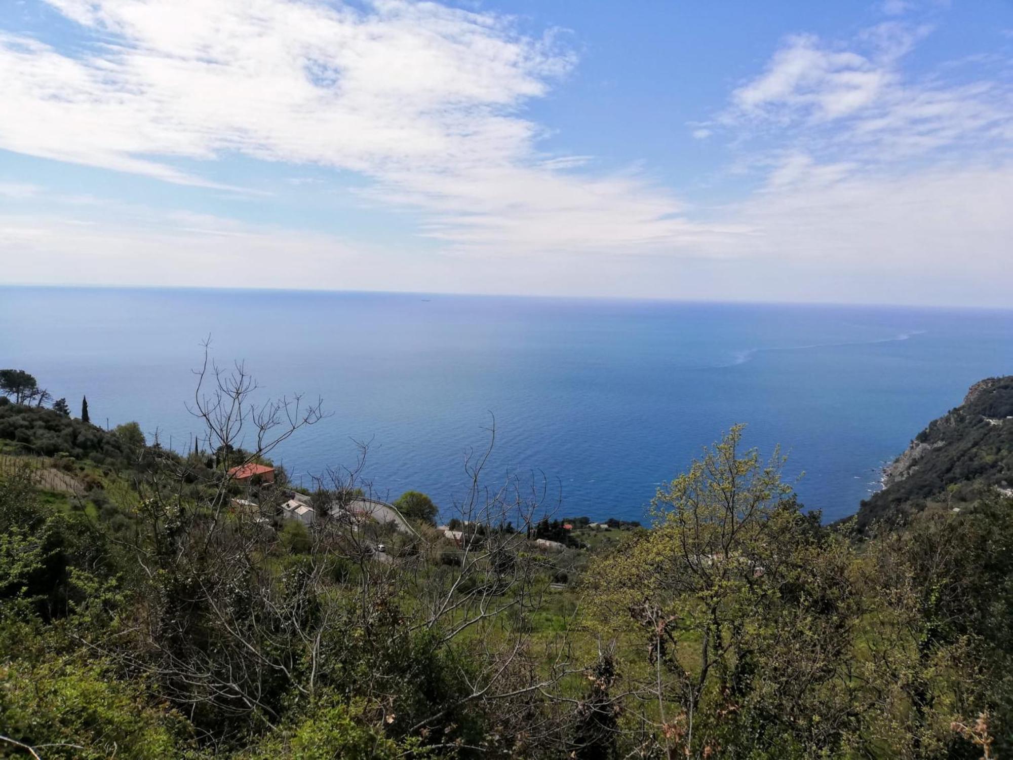 Hotel Silvia Framura - Cinque Terre Eksteriør bilde