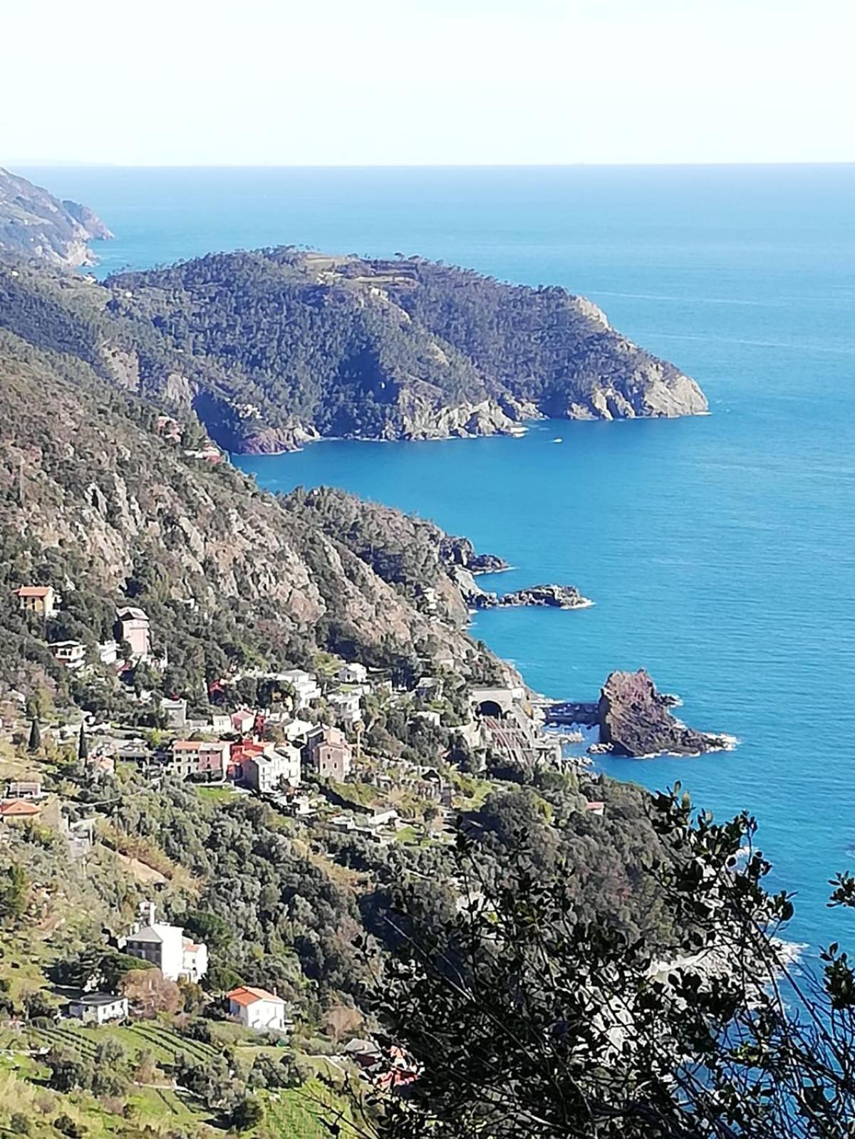 Hotel Silvia Framura - Cinque Terre Eksteriør bilde